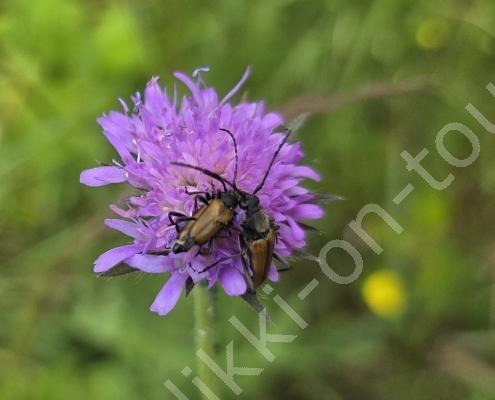 20250619_142230 - Kopie