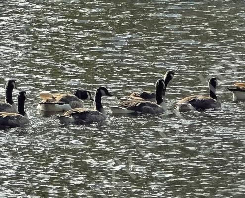 20250621_081553 - Kopie