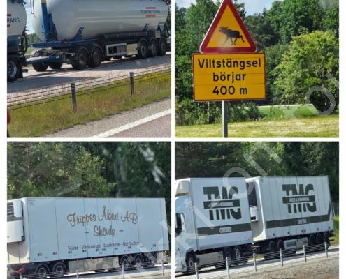 20250621_213351-COLLAGE