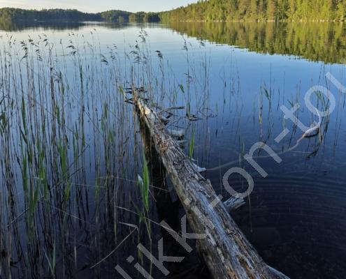 20250622_060831 - Kopie