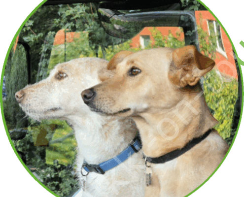 20250911_152525(0)(1) - Kopie