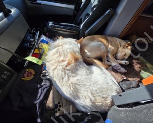 20250912_093357 - Kopie