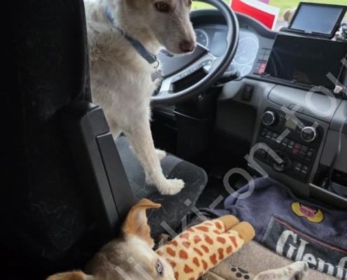 20250914_080905 - Kopie