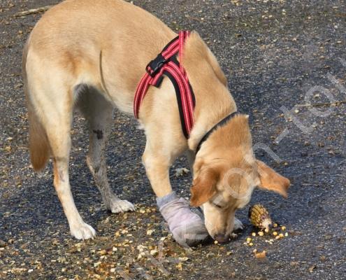 20250914_113317 - Kopie