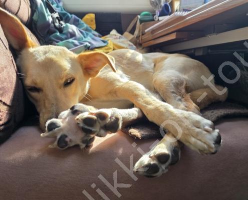 20250914_150953 - Kopie