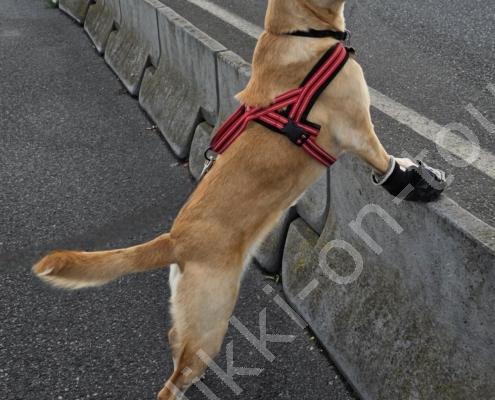 20250915_173939 - Kopie