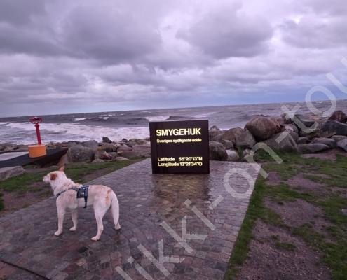 20250916_064343 - Kopie