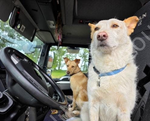 20250917_092054(1) - Kopie