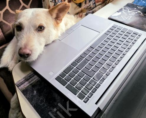 20250918_082831(1) - Kopie