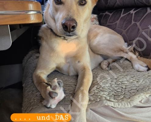 20250918_154101(1)(1) - Kopie