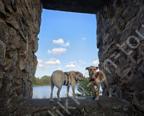 20250918_174059 - Kopie