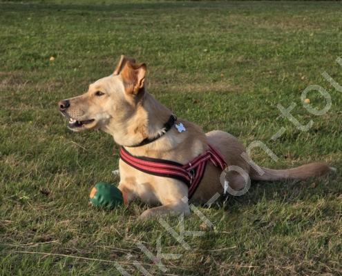 20250918_175806 - Kopie