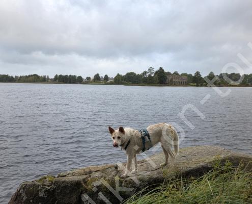 20250919_074847 - Kopie