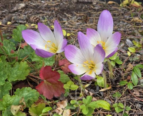 20250920_130126 - Kopie