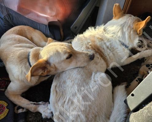 20250920_172700 - Kopie