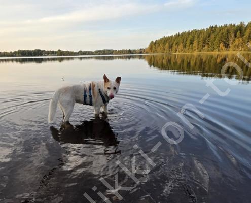 20250920_182906 - Kopie