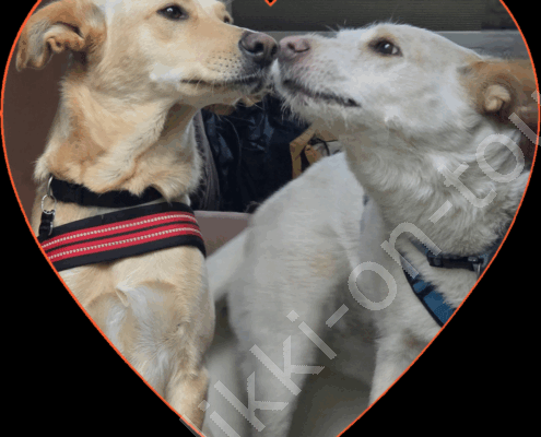 20250922_073931(1)(1)(1)