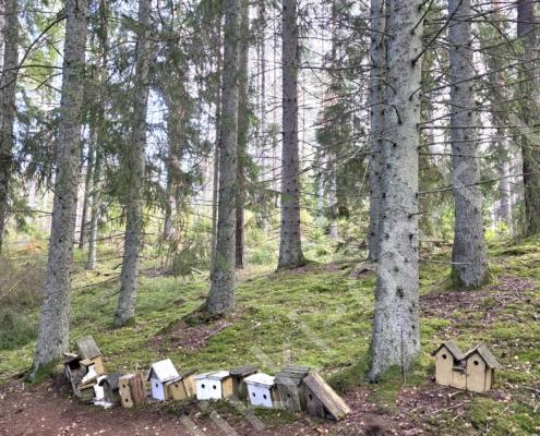 20250928_123316 - Kopie