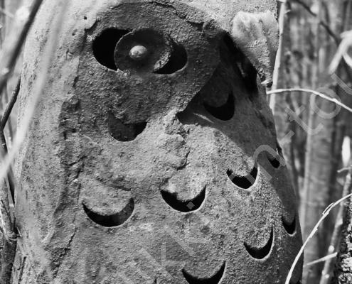 20250416_125807 - Kopie