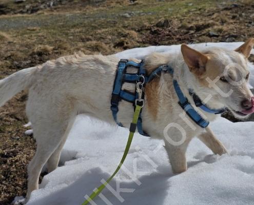 20250514_092743 - Kopie