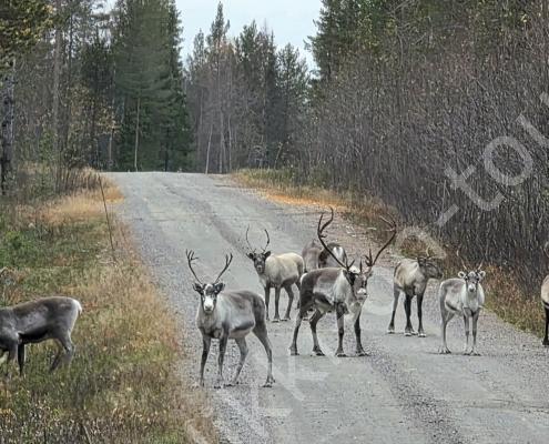 20251010_163247(1)(1)