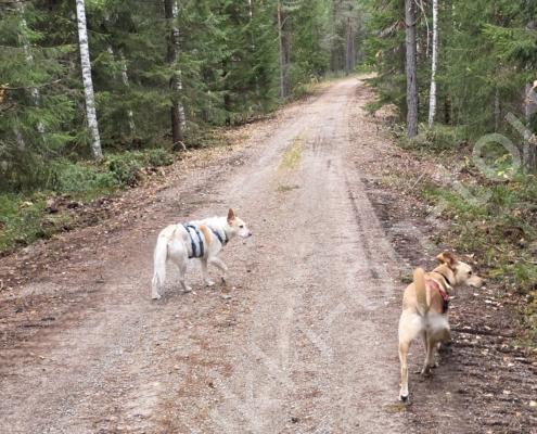 20251013_115014(1)(1)