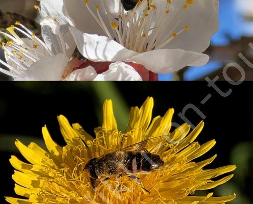 20250322_144050 - Kopie (2)