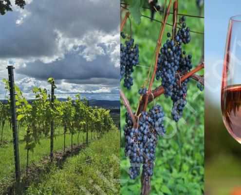 20250830_115413 - Kopie