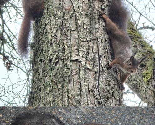 20251204_115133(1)(1) - Kopie