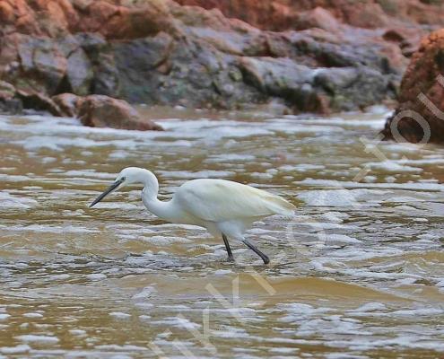 DV7I8682 - Kopie - Kopie