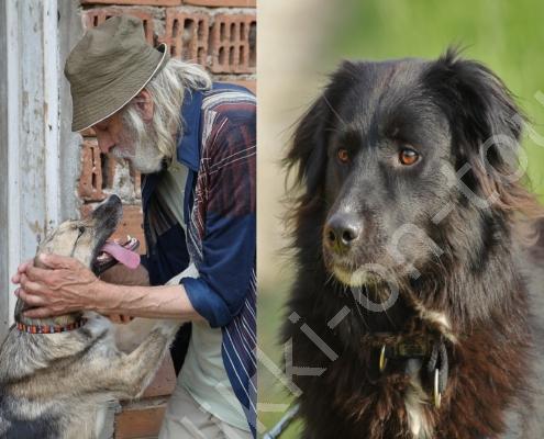 E30G6719 - Kopie - Kopie - Kopie