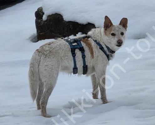 105 - 20260115_125400