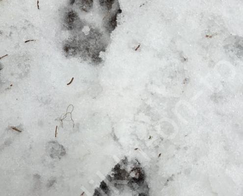 105a - 20260116_113237