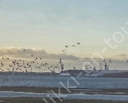 16 - 20260102_145339