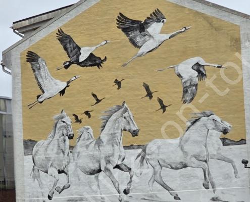 20251214_133338 - Kopie