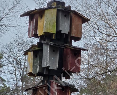 20251214_134936 - Kopie