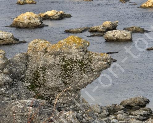 20251215_131113 - Kopie