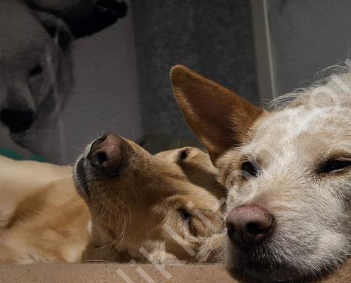 20251215_203514 - Kopie