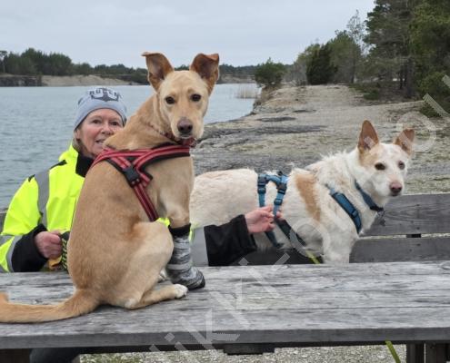 20251216_082907 - Kopie