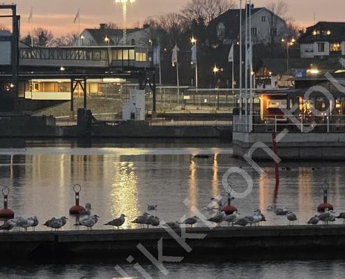 20251217_080521 - Kopie