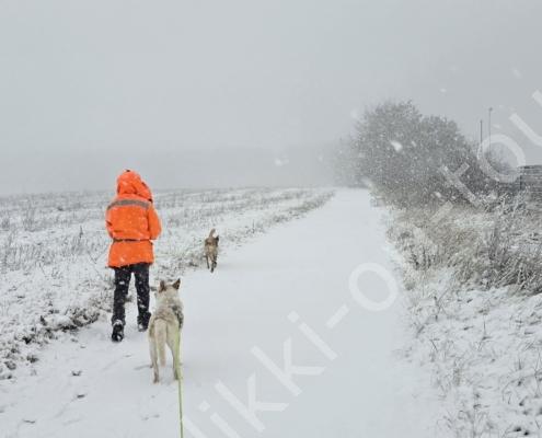 33 - 20260103_092730