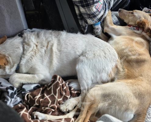 35a - 20260103_130710