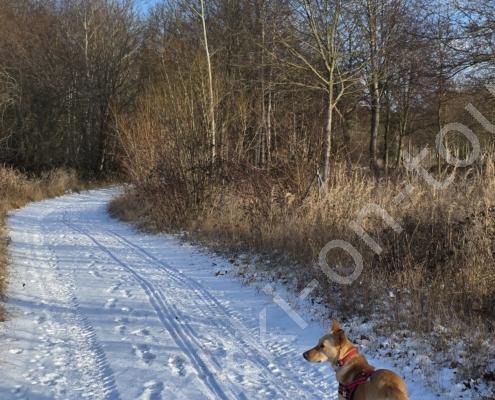 39 - 20260103_134312