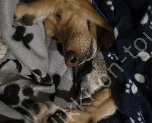 59 - 20260111_194947