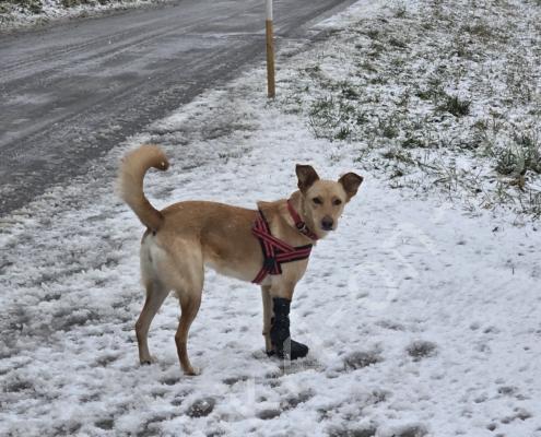 60 - 20260110_122255