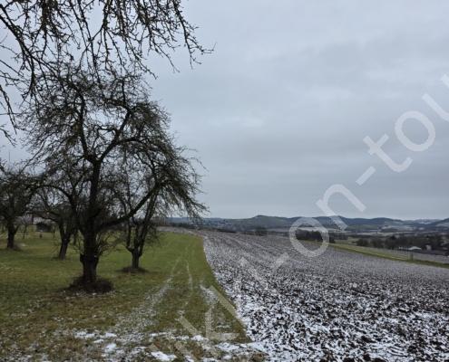 65 - 20260112_122219