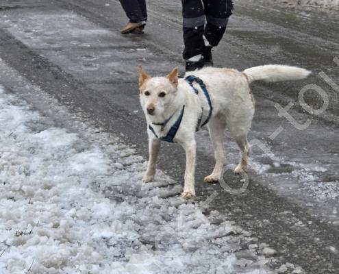 70 - 20260110_122400