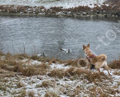 72 - 20260110_122554