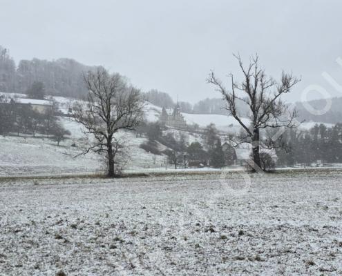 73 - 20260110_122651