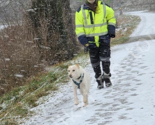 73a - 20260110_122745